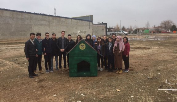 Odunpazarı hayvansever öğrencilerle el ele