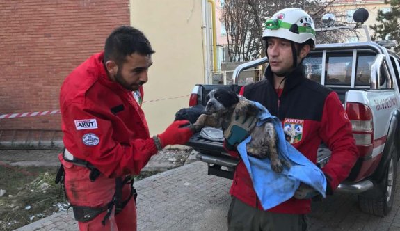 Yavru köpek düştüğü kuyudan kurtarıldı