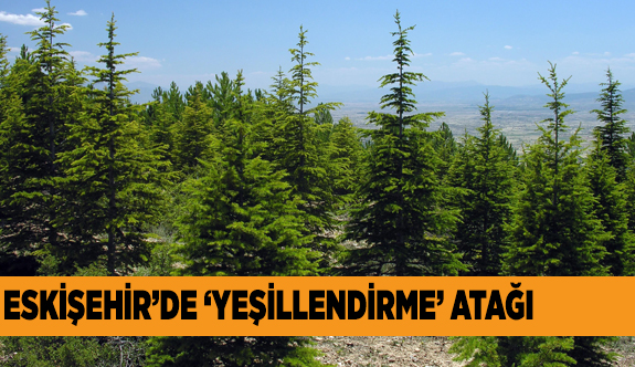 19 BİN DEKAR YEŞİLLENECEK