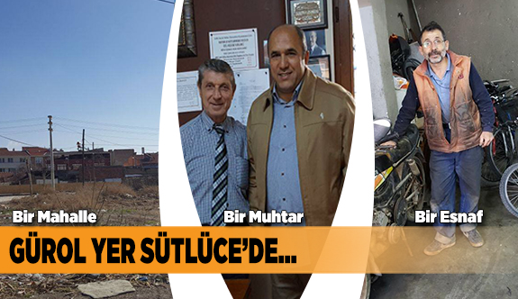 ELMANIN DİĞER YARISI SÜTLÜCE