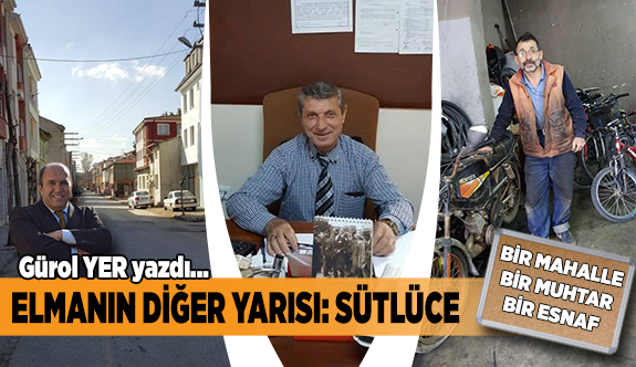 ELMANIN DİĞER YARISI: SÜTLÜCE