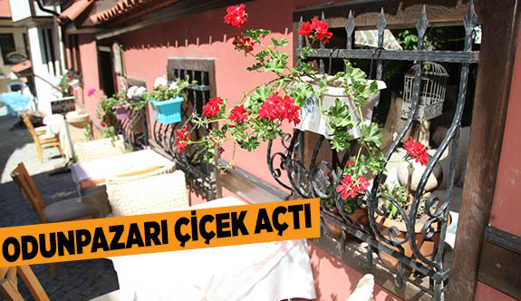 Odunpazarı sardunyalarla süslendi