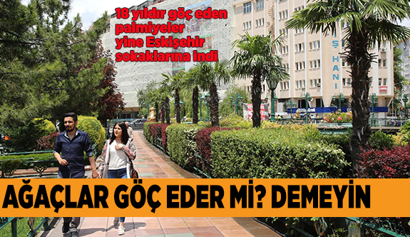PALMİYELERİ GÖRÜYORSANIZ YAZ GELMİŞTİR