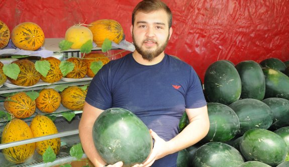 Eski tohumlardan 'GDO'suz Karpuz'