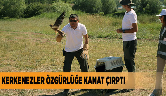 KERKENEZLER ÖZGÜRLÜĞE KANAT ÇIRPTI