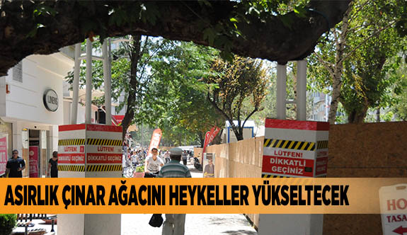 ASIRLIK ÇINAR AĞACINI HEYKELLER YÜKSELTECEK