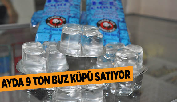 AYDA 9 TON BUZ KÜPÜ SATIYOR