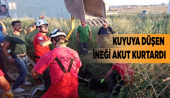 KUYUYA DÜŞEN İNEĞİ AKUT KURTARDI