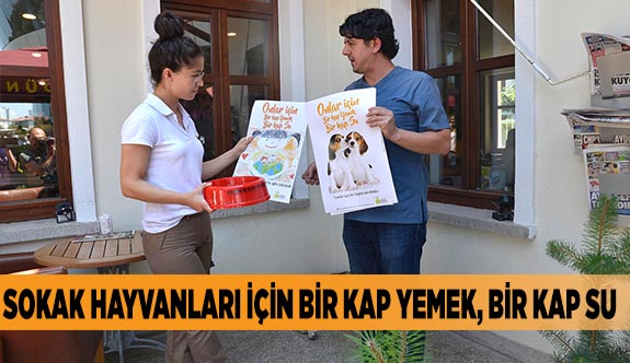 SOKAK HAYVANLARI İÇİN BİR KAP YEMEK, BİR KAP SU