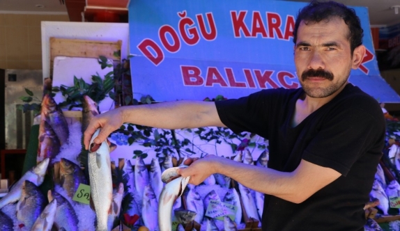 Balıkçılar satışlarından memnun değil