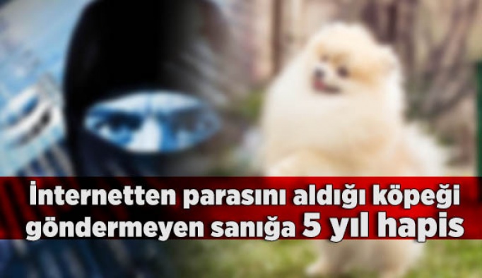 İnternetten parasını aldığı köpeği göndermeyen sanığa 5 yıl hapis