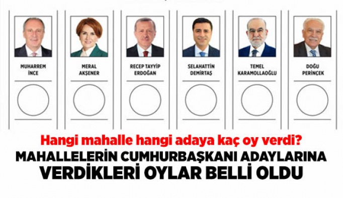 CUMHURBAŞKANI ADAYLARINA VERİLEN OYLAR BELLİ OLDU
