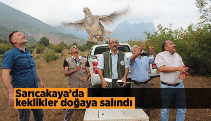 Sarıcakaya’da keklikler doğaya salındı
