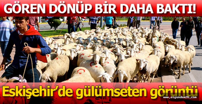 Küçükbaş Çoban Festivali başlıyor