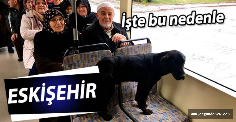 TAM DA BU YÜZDEN ESKİŞEHİR
