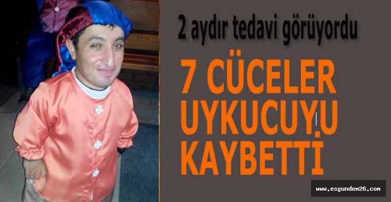 7 CÜCELER UYKUCUYU KAYBETTİ