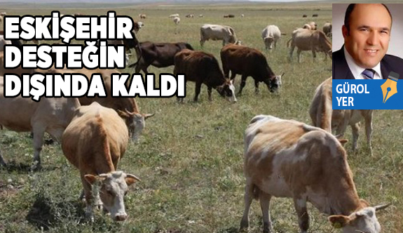 BİR KAYIP DAHA