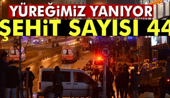 Şehit sayısı 44’e yükseldi