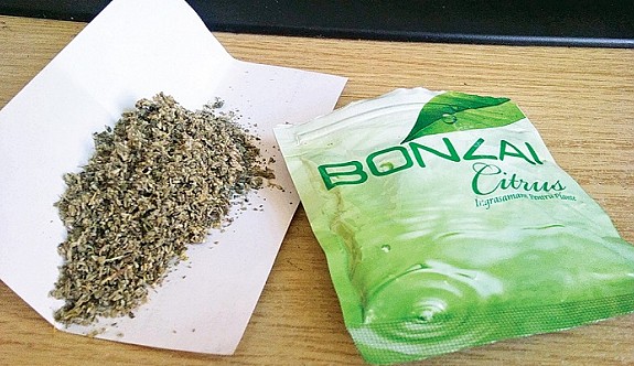 430 gram bonzai ele geçirildi