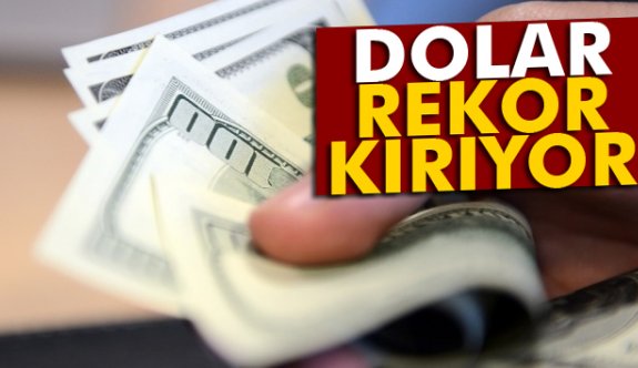 Dolar, 3,90 ile rekor tazeledi