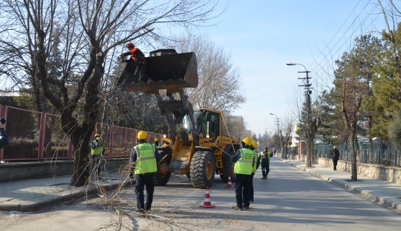 Eskişehir bahara hazırlanıyor