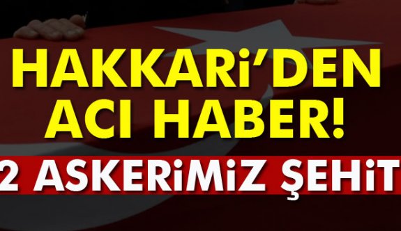 Askerler uçuruma düştü