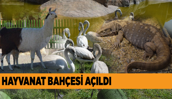 Hayvanat Bahçeleri cehennem değildir