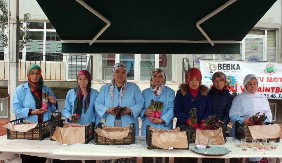 5 bin kuşkonmaz ücretsiz dağıtıldı