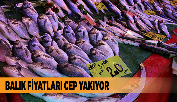 BALIK FİYATLARI CEP YAKIYOR