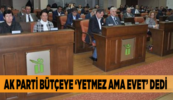 AK PARTİ BÜTÇEYE ‘YETMEZ AMA EVET’ DEDİ