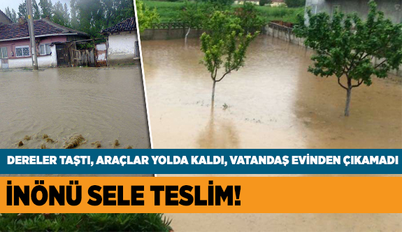 İNÖNÜ SULAR ALTINDA KALDI