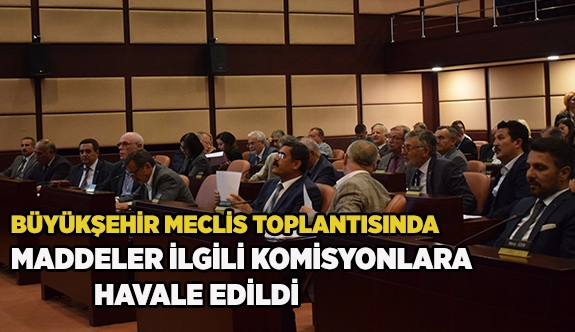 MADDELER İLGİLİ KOMİSYONLARA HAVALE EDİLDİ