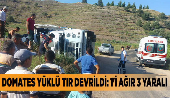 DOMETES YÜKLÜ TIR DEVRİLDİ