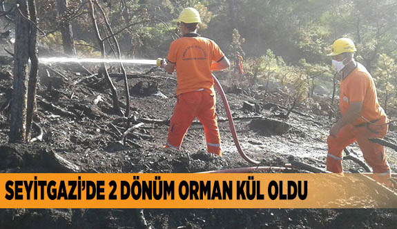 Seyitgazi’de 2 dönüm orman kül oldu