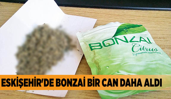 ESKİŞEHİR'DE BONZAİ BİR CAN DAHA ALDI