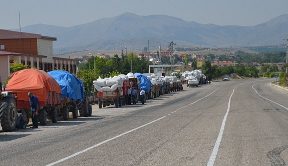 Günyüzü'nde haşhaş kapsül alımı başladı