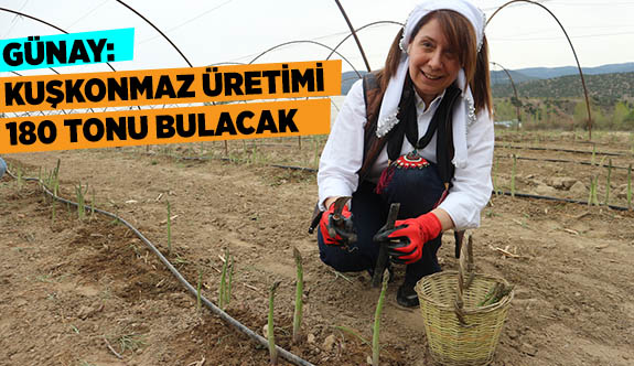 PROF. DR. GÜNAY: KUŞKONMAZ ÜRETİMi 180 TONU BULACAK