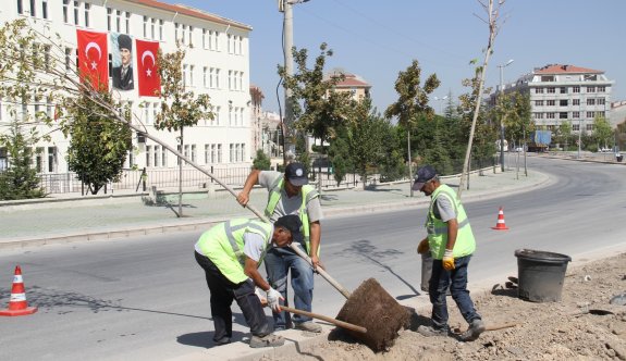 Balsu Caddesi yeşile bürünüyor