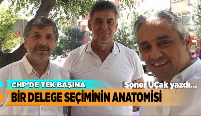 BİR DELEGE SEÇİMİNİN ANATOMİSİ