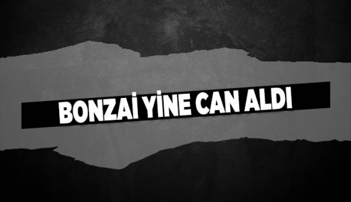 BONZAİ YİNE CAN ALDI