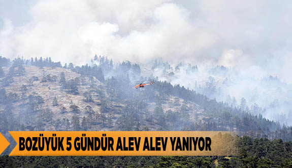 BOZÜYÜK 5 GÜNDÜR ALEV ALEV YANIYOR