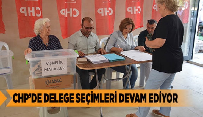 CHP’DE DELEGE SEÇİMLERİ DEVAM EDİYOR