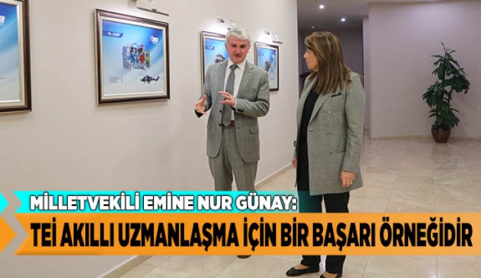 TEİ AKILLI UZMANLAŞMA İÇİN BİR BAŞARI ÖRNEĞİDİR