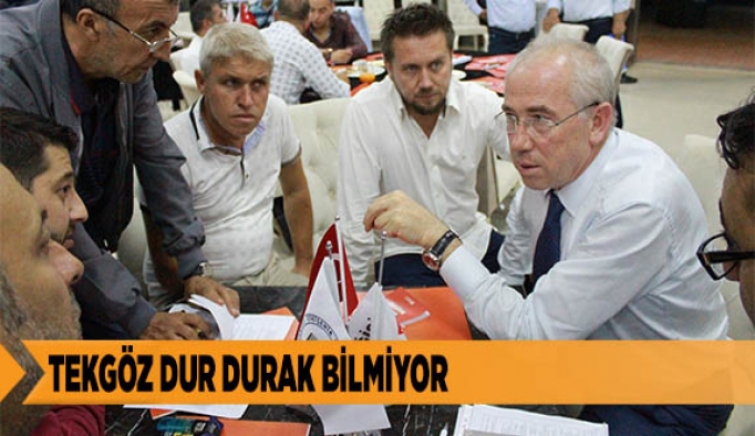 TEKGÖZ DUR DURAK BİLMİYOR