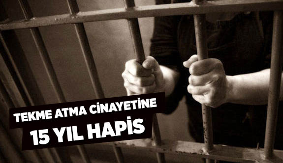 TEKME ATMA CİNAYETİNE 15 YIL HAPİS