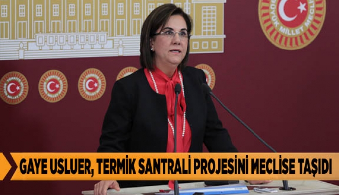 GAYE USLUER, TERMİK SANTRALİ PROJESİNİ MECLİSE TAŞIDI