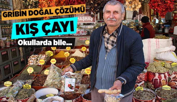 GRİBİN DOĞAL ÇÖZÜMÜ KIŞ ÇAYI