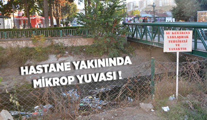 HASTANE YAKININDA MİKROP YUVASI