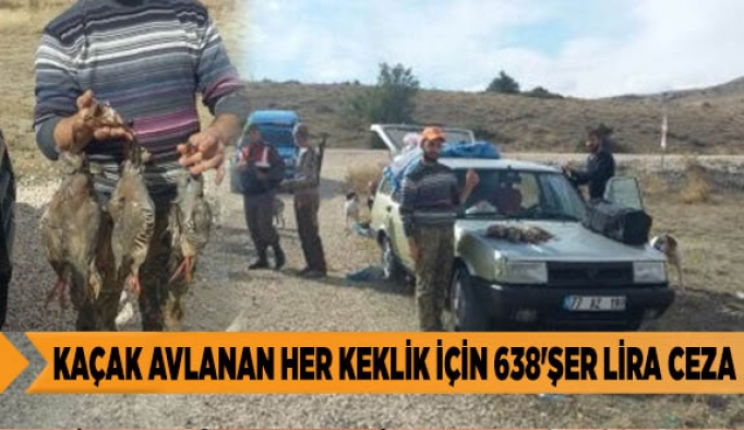 Kaçak avlanan her keklik için 638'şer lira ceza