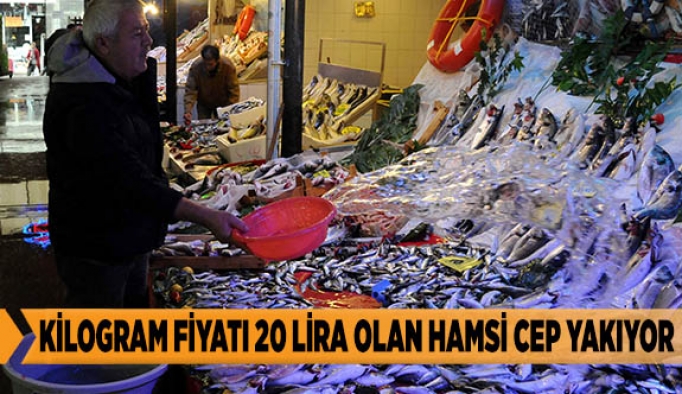 KİLOGRAM FİYATI 20 LİRA OLAN HAMSİ CEP YAKIYOR